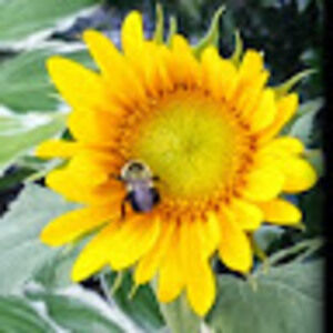 Meet your Posher, Jared